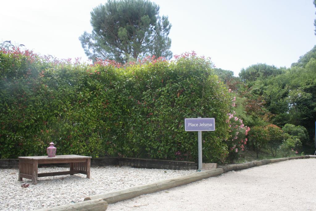 Le Vieux Platane Hotel Cairanne Exterior photo